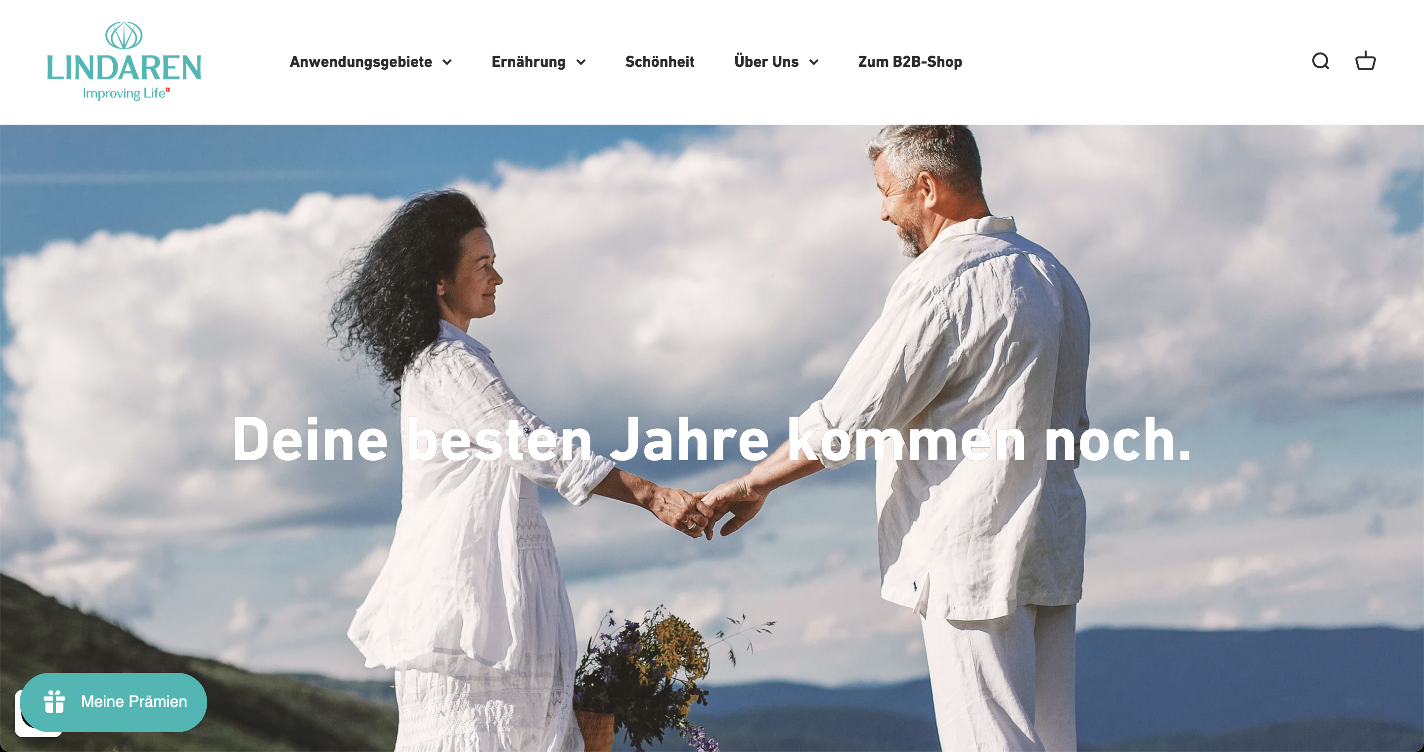 Visualisierung der neuen Lindaren Website.