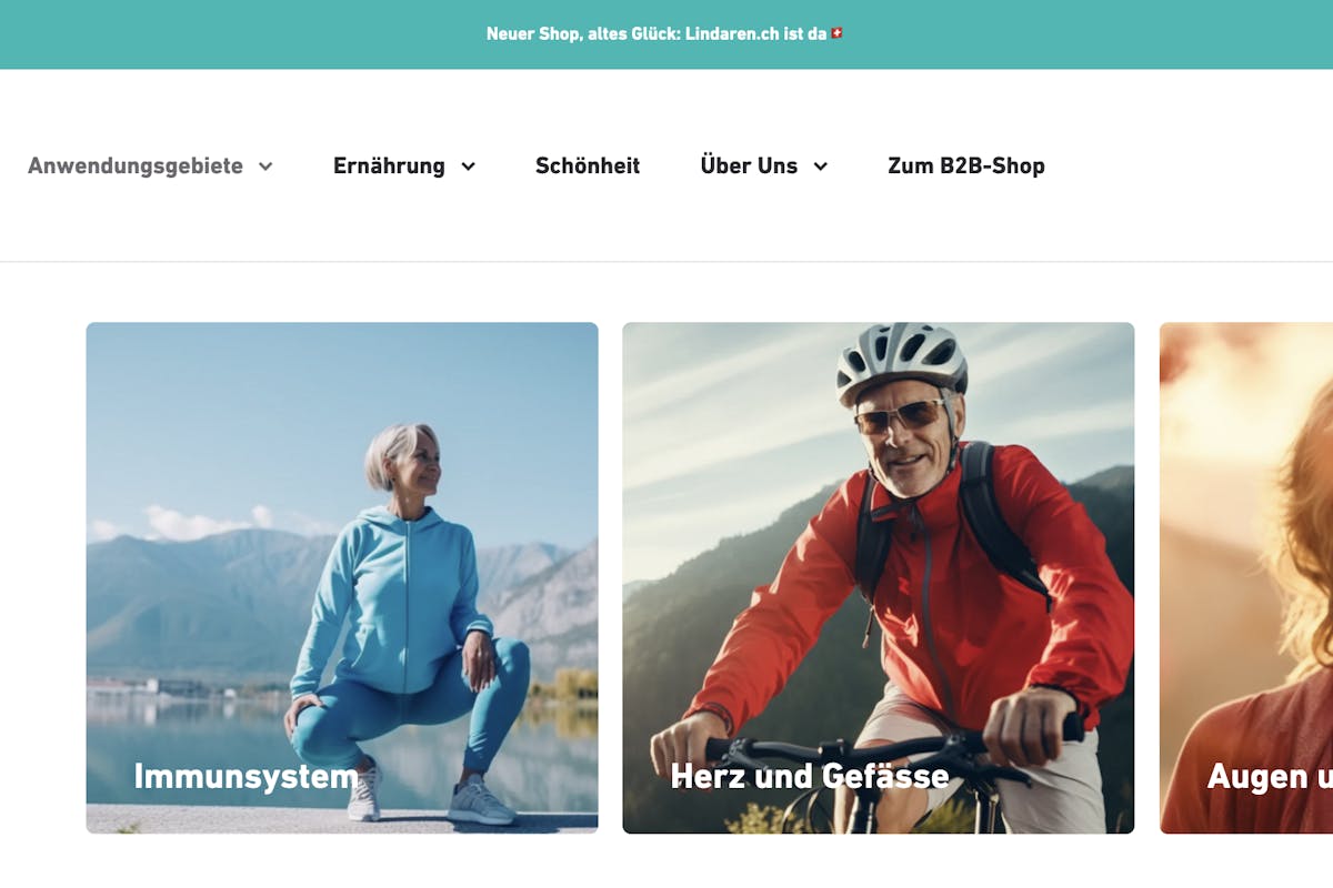 Screenshot vom Lindaren Onlineshop.