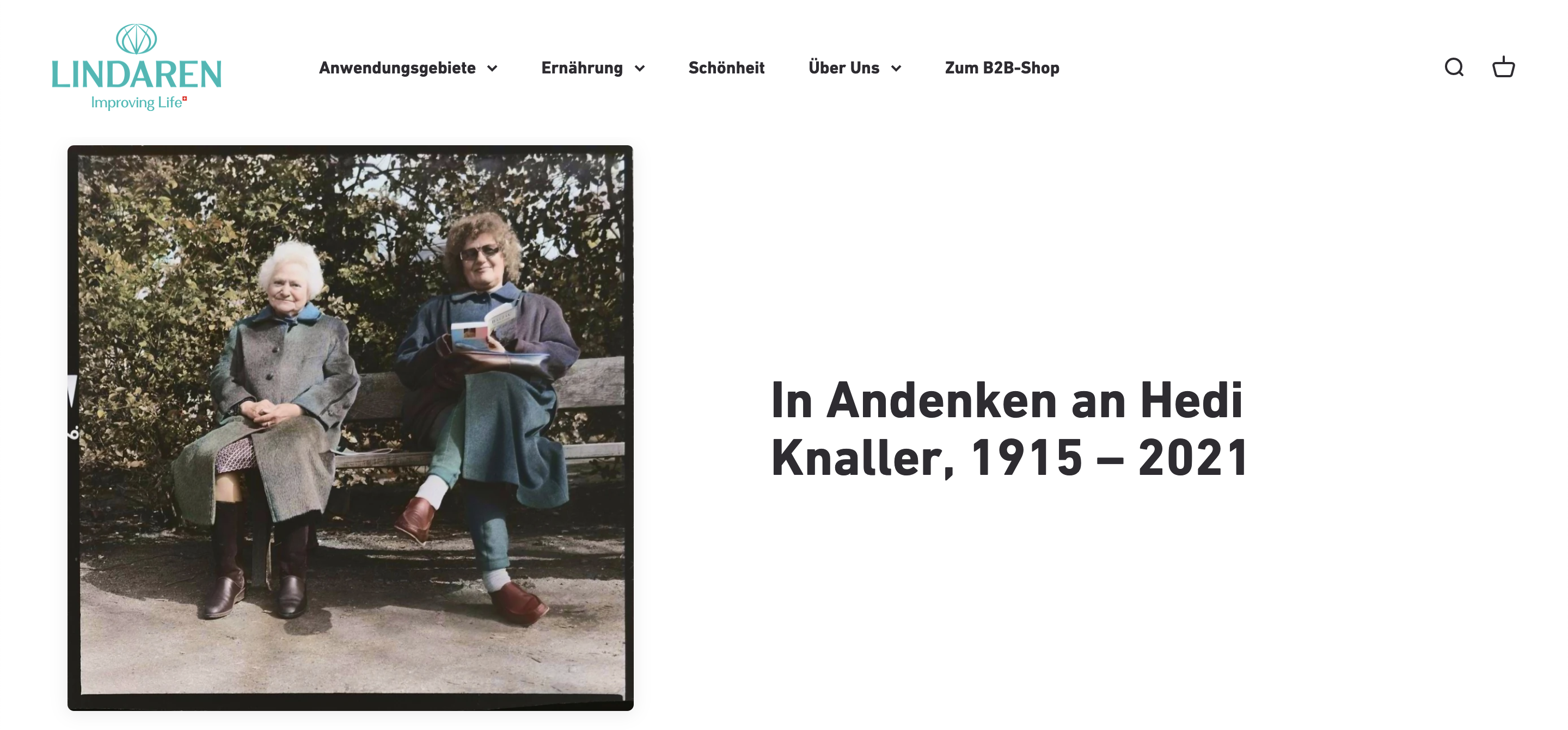 Visualisierung der neuen Lindaren Website.