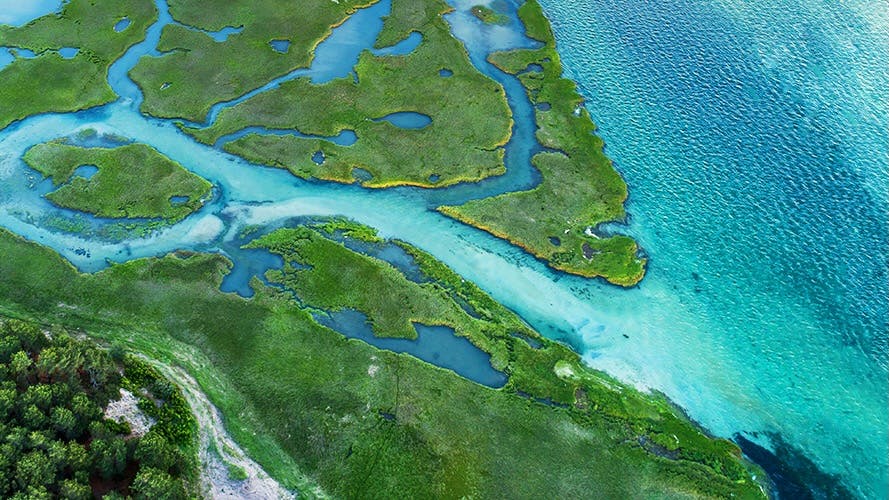 World Water Week