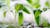 Rethinking Agriculture