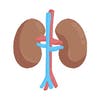 Kidney Care