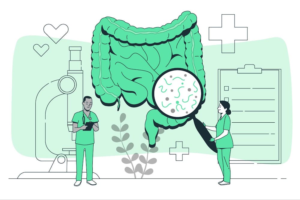 Ways to improve gut health