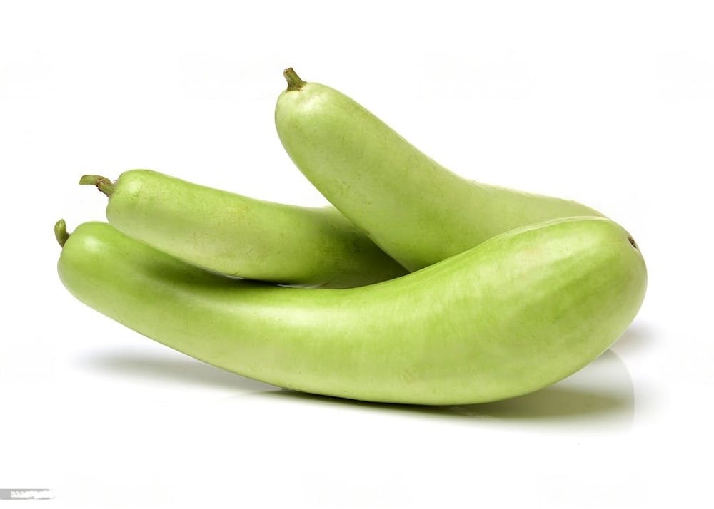 leaky gut diet