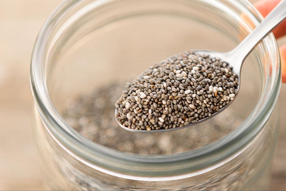 best plant based protein sources