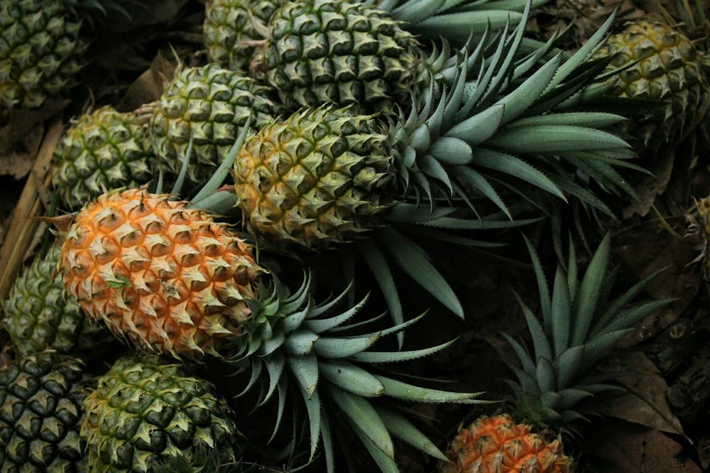 best foods for kidney health
