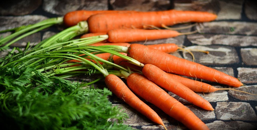 foods for skin and gut health