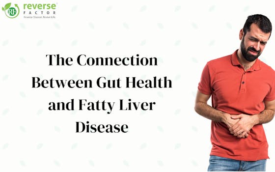 The Connection Between Gut Health and Fatty Liver Disease - blog poster
