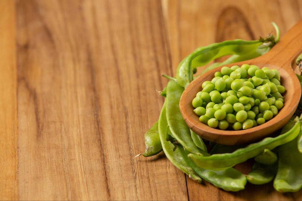 best plant based protein sources