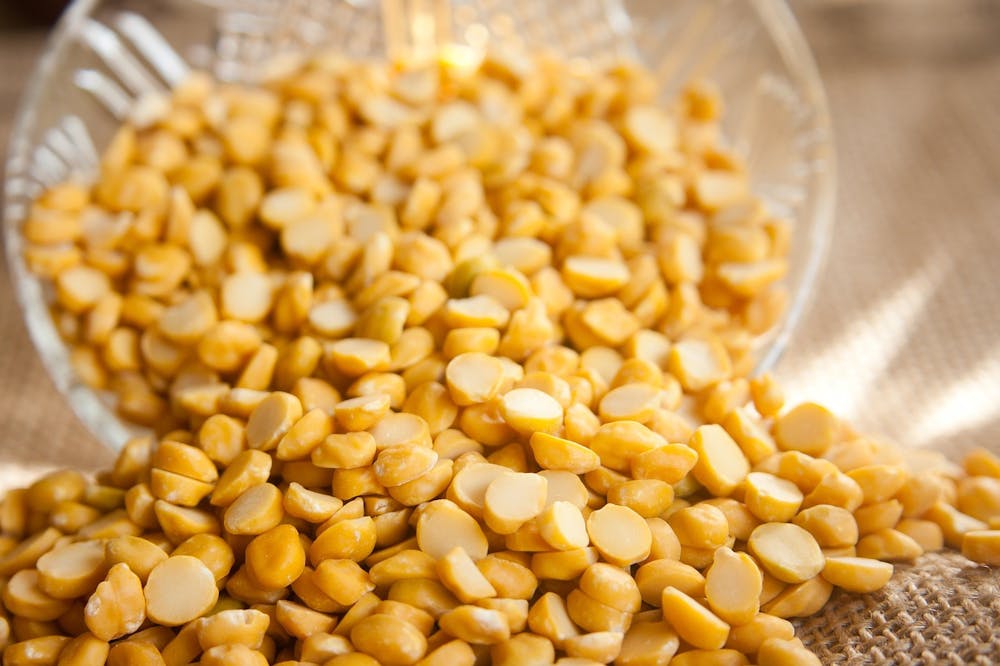 tips on healing gut health