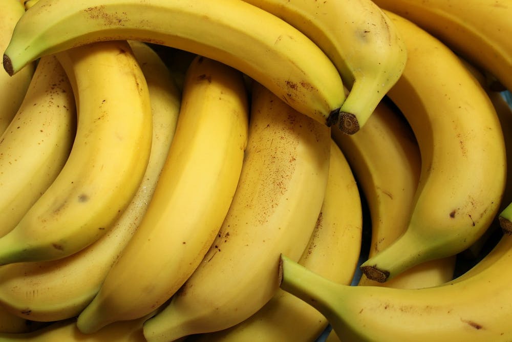 tips on healing gut health