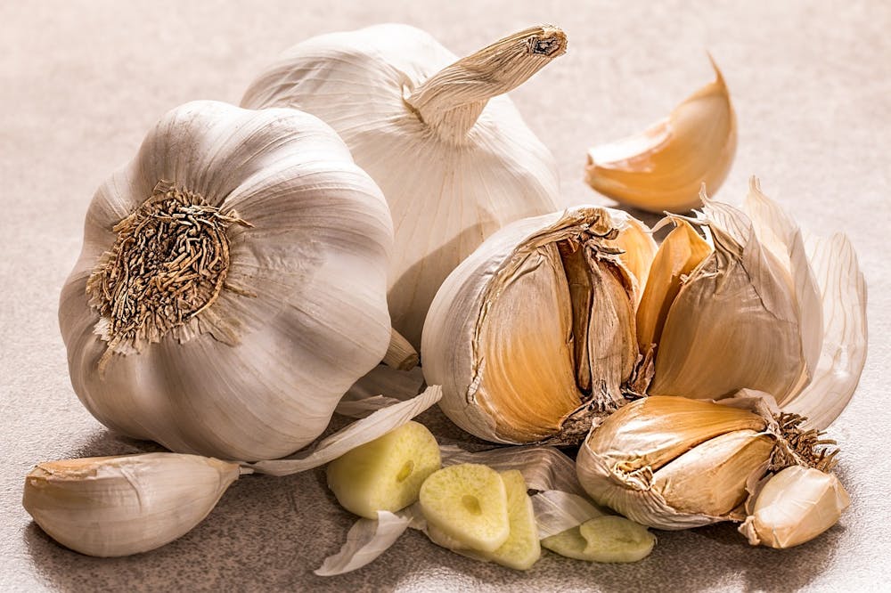 best foods that help fight cancer disease