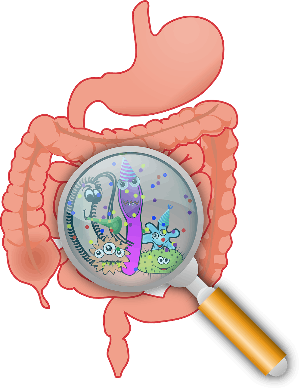tips on healing gut health