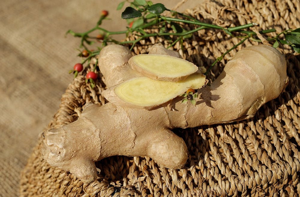 leaky gut diet