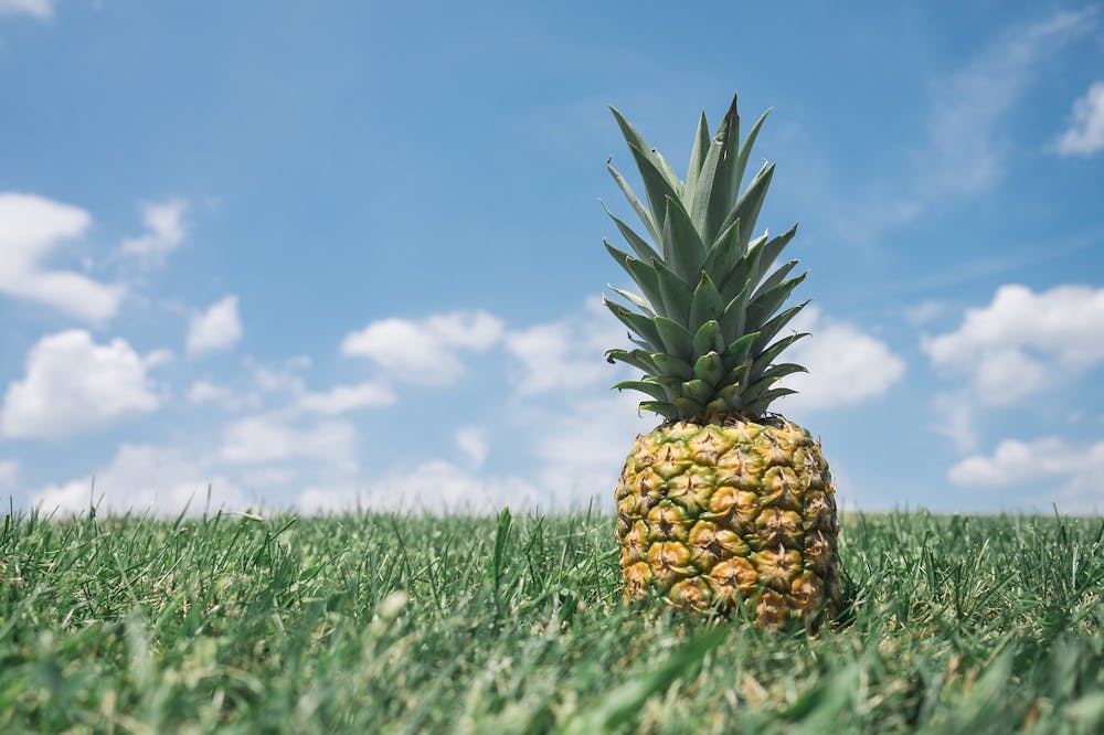 fruits bad for pregnancy