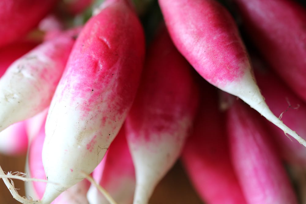 best vegetable for diabetes - raddish