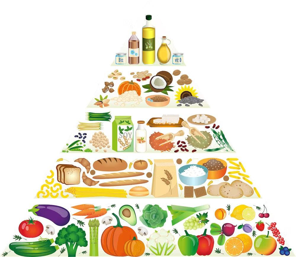 fatty liver disease reversal guide