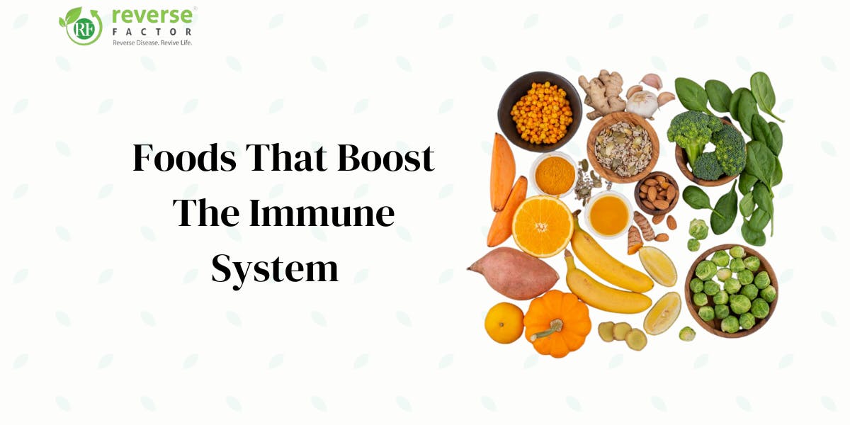 Foods That Boost the Immune System: Top 18 Foods to Eat - blog poster