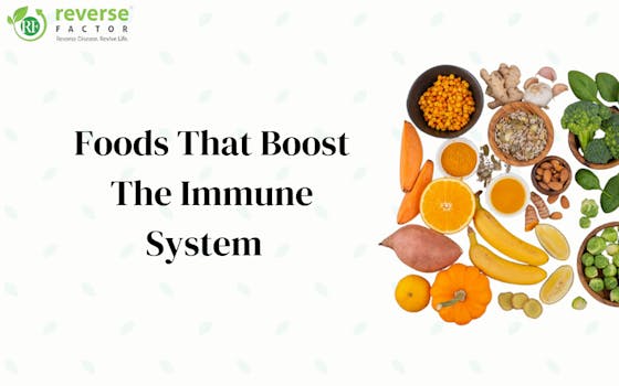 Foods That Boost the Immune System: Top 18 Foods to Eat - blog poster