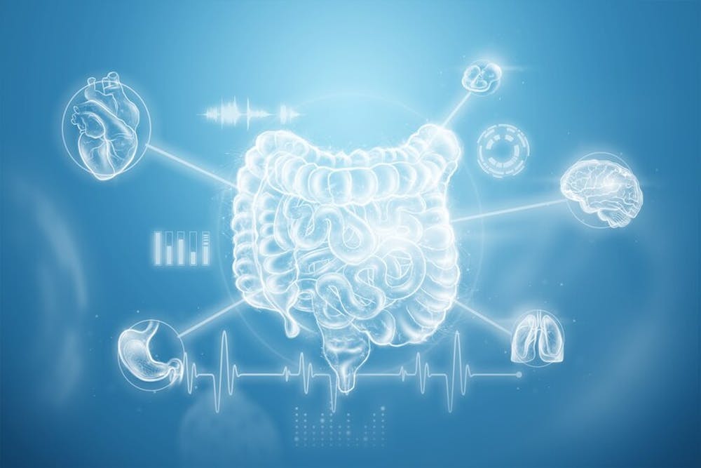 Connection between gut and heart health
