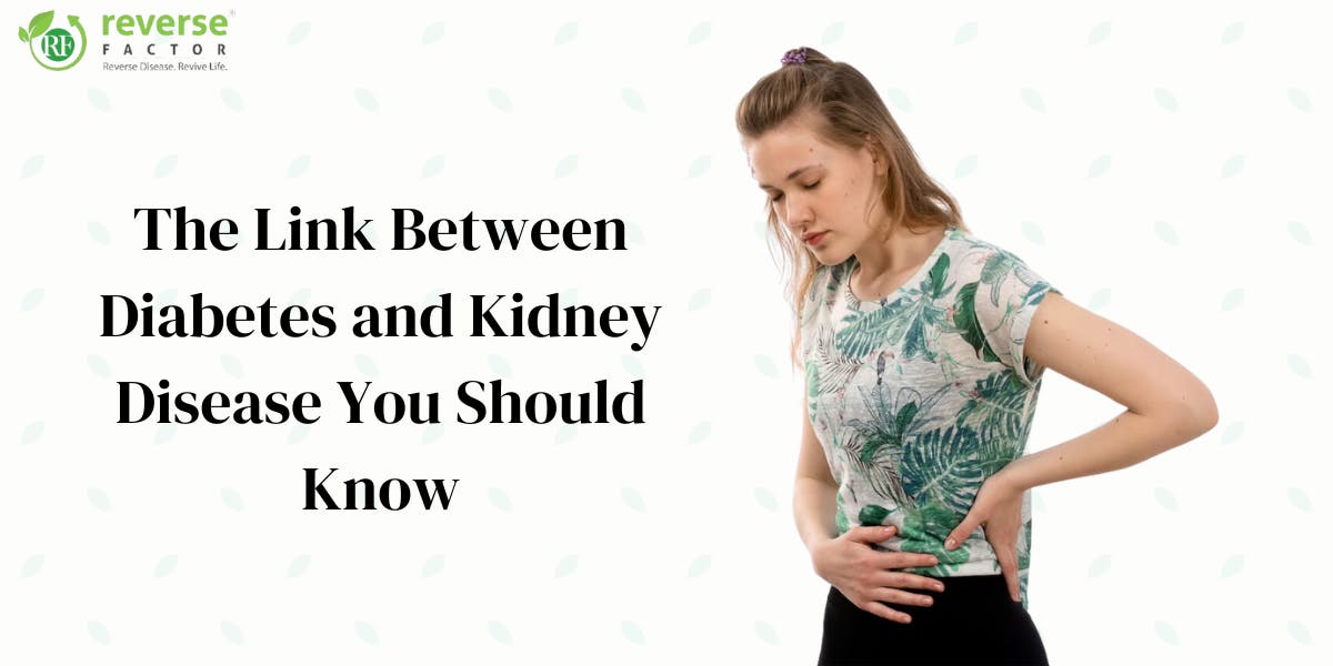 The Link Between Diabetes and Kidney Disease You Should Know