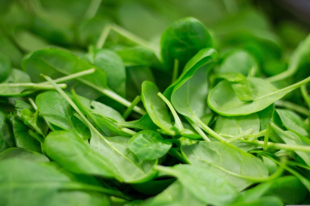 best foods that help fight cancer disease