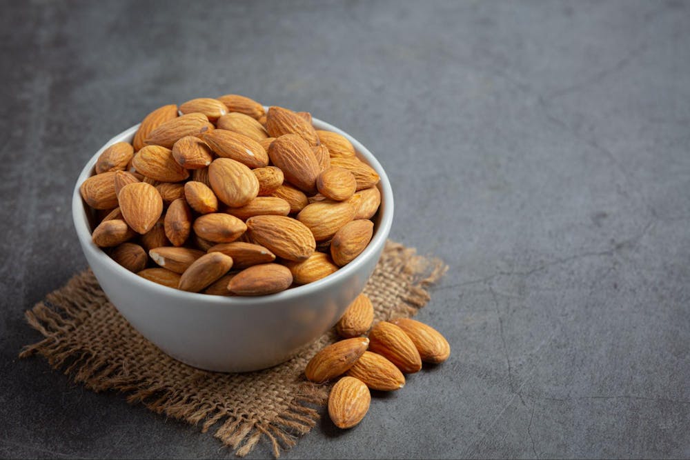 best plant based protein sources