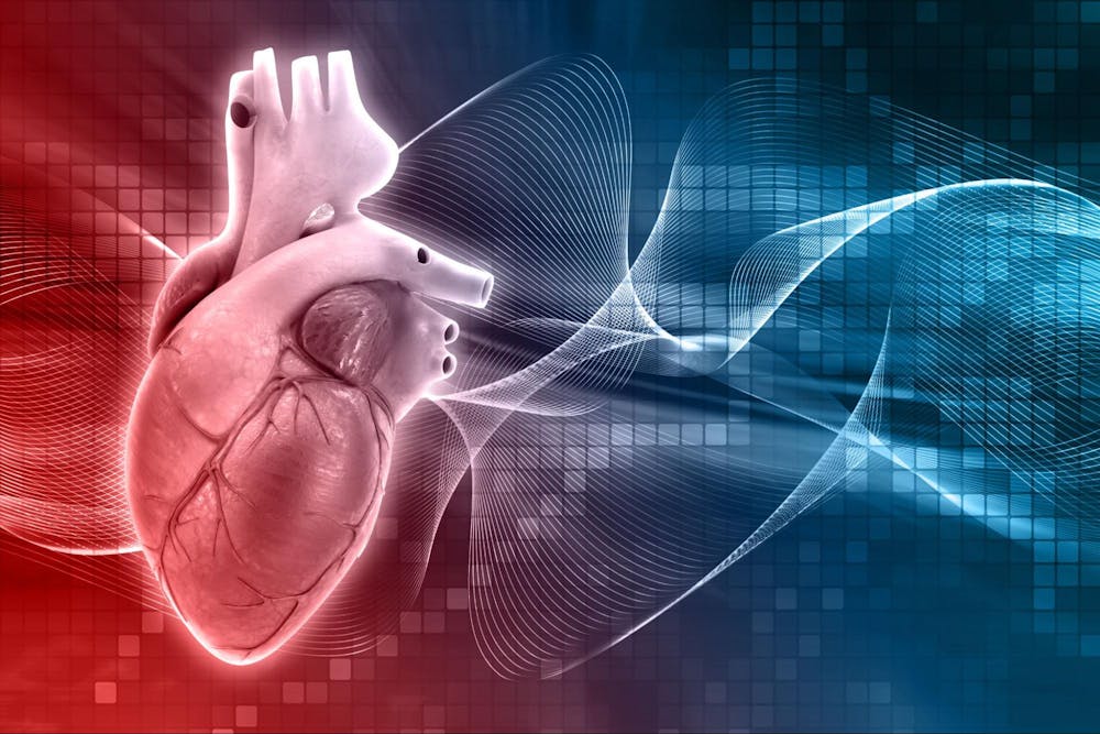 Connection between gut and heart health