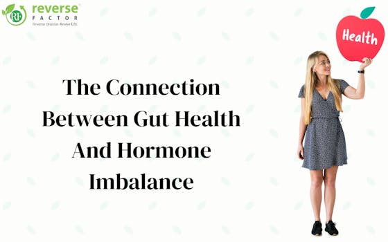 The Connection Between Gut Health And Hormone Imbalance - blog poster