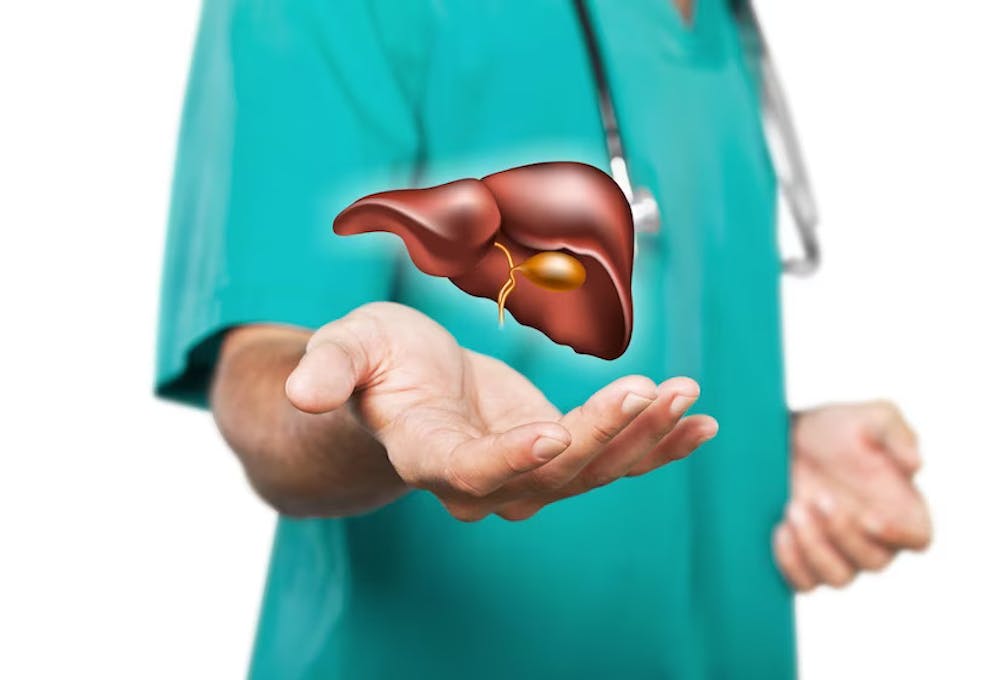 Gut Health and Fatty Liver Link