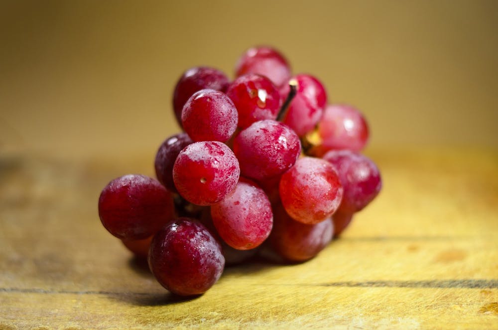best foods for kidney health