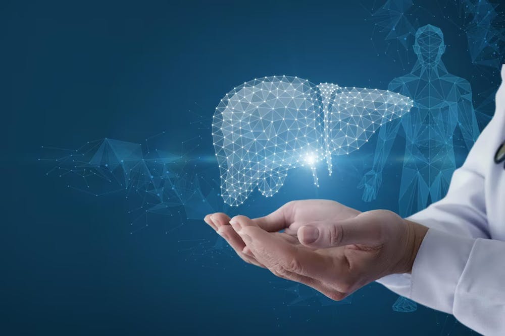 connection between fatty liver and heart disease