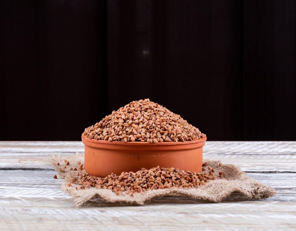 best plant based protein sources