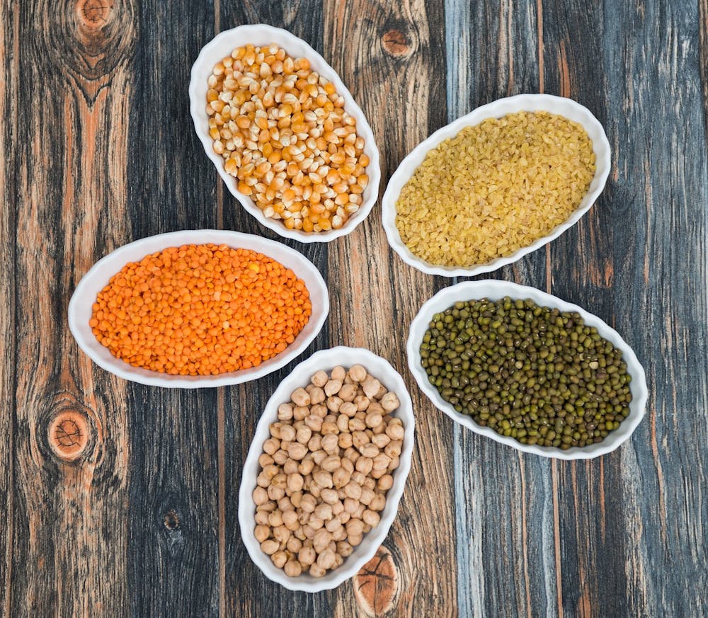 best plant based protein sources