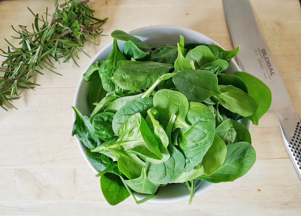best plant based protein sources