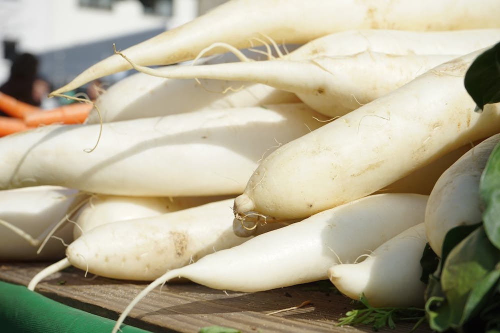 best foods for kidney health
