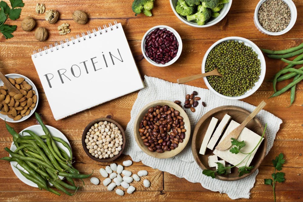 best plant based protein sources