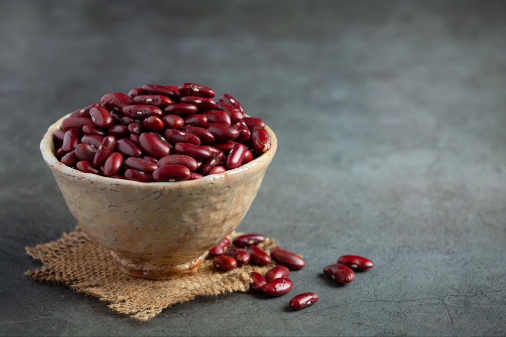 best plant based protein sources