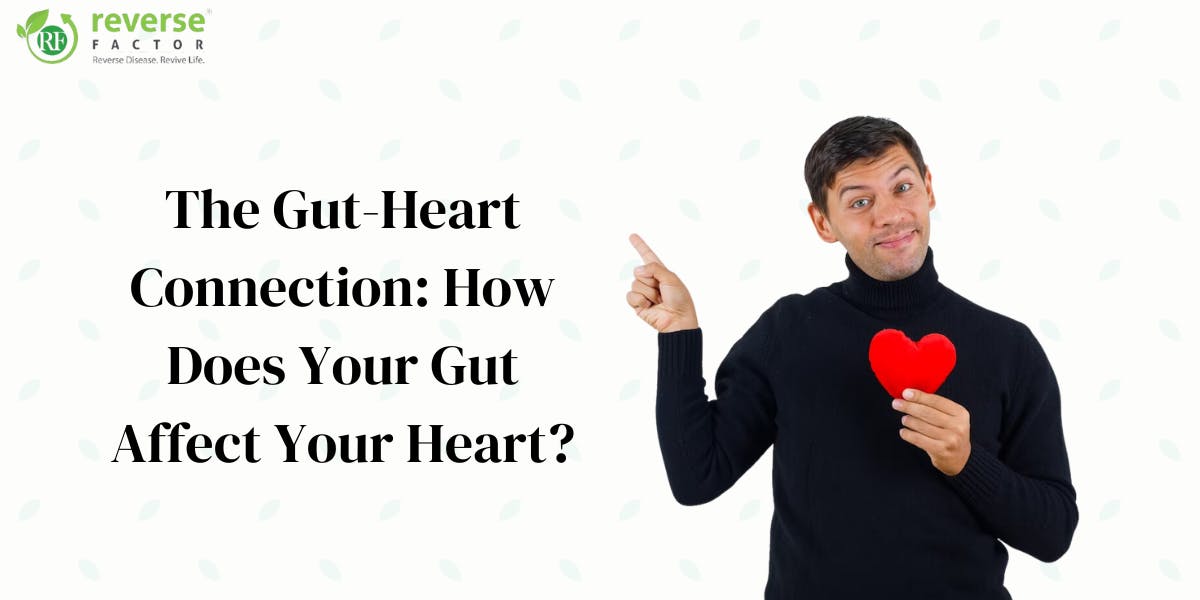 The Gut-Heart Connection: How does your gut affect your heart - blog poster