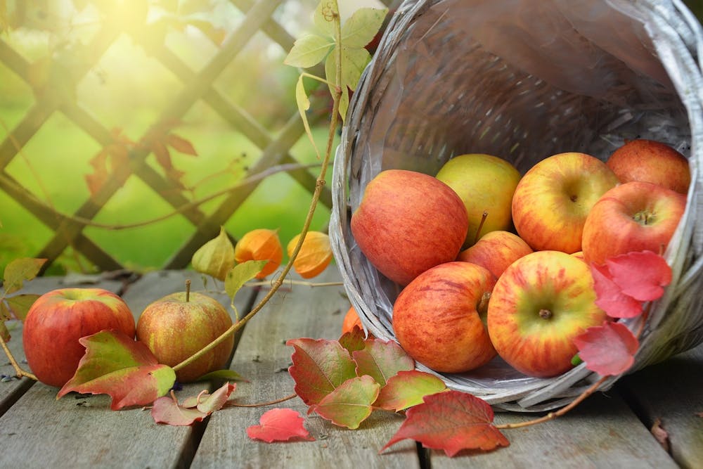 best foods that help fight cancer disease