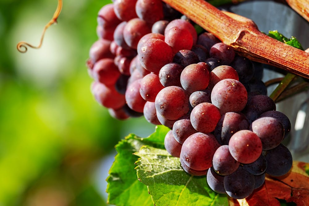 best fruits for healthy heart