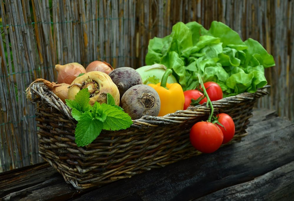 tips on healing gut health