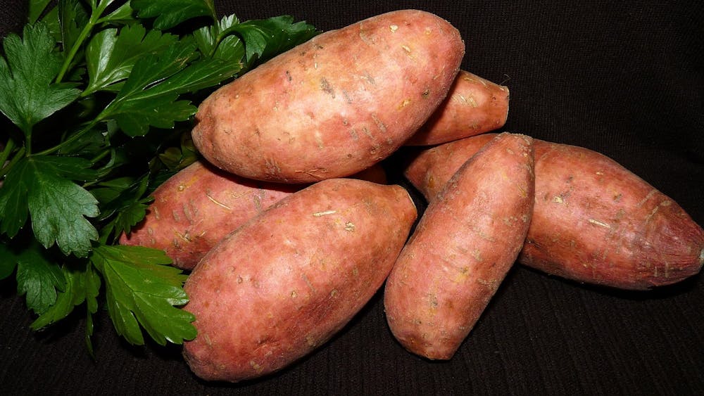 Best Diet For Skin Health
