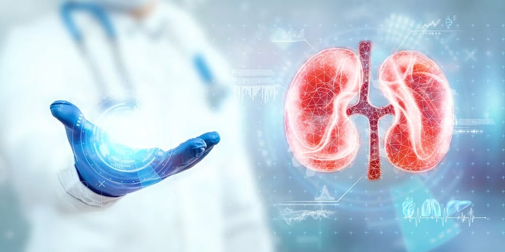 Simple ways to improve your kidney health