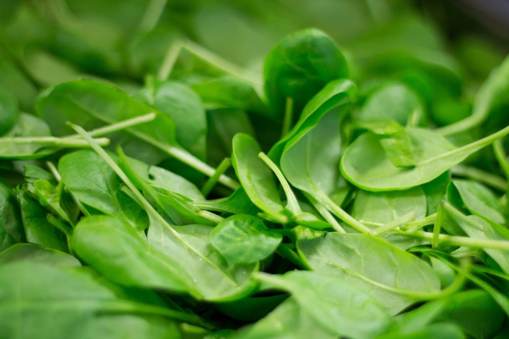 tips on healing gut health