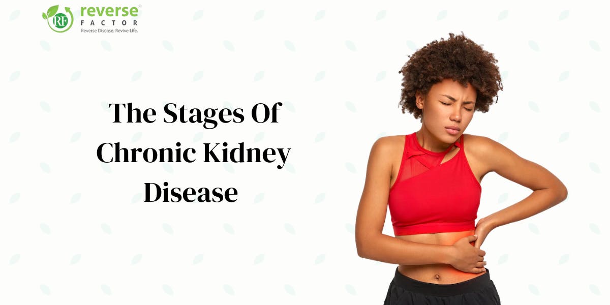 The Stages Of Chronic Kidney Disease - blog poster