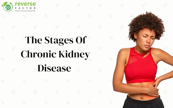 The Stages Of Chronic Kidney Disease - blog poster