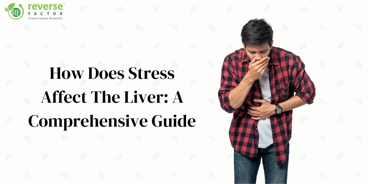 How Does Stress Affect The Liver: A Comprehensive Guide - blog poster