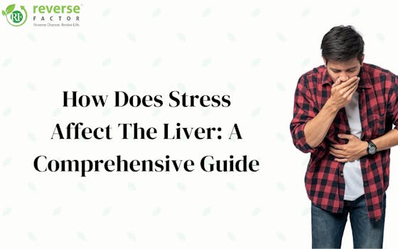 How Does Stress Affect The Liver: A Comprehensive Guide - blog poster
