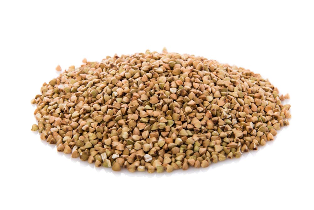 best plant based protein sources